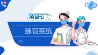 解剖学基础：脉管系统PPT教学课件.pptx