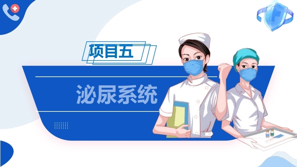 解剖学基础：泌尿系统PPT教学课件.pptx_第1页