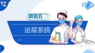 解剖学基础：泌尿系统PPT教学课件.pptx