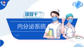 解剖学基础：内分泌系统PPT教学课件.pptx