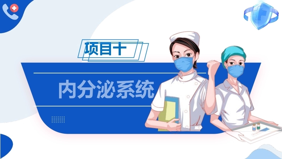 解剖学基础：内分泌系统PPT教学课件.pptx_第1页