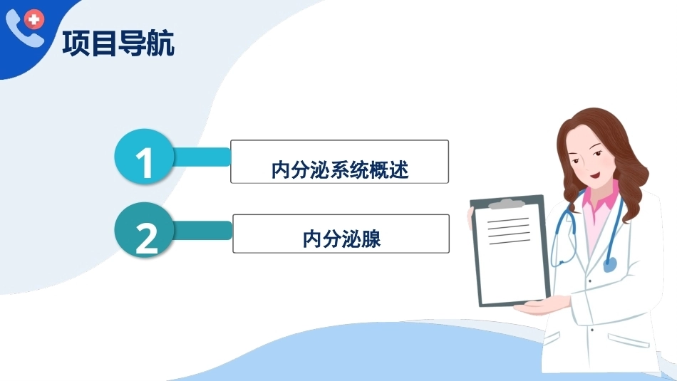解剖学基础：内分泌系统PPT教学课件.pptx_第3页