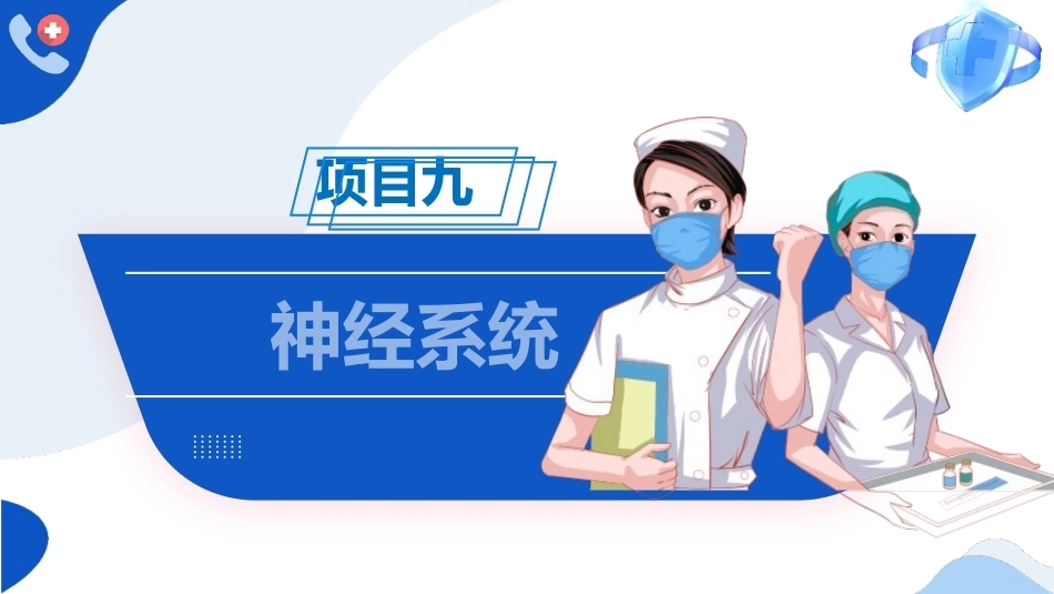 解剖学基础：神经系统PPT教学课件.pptx_第1页
