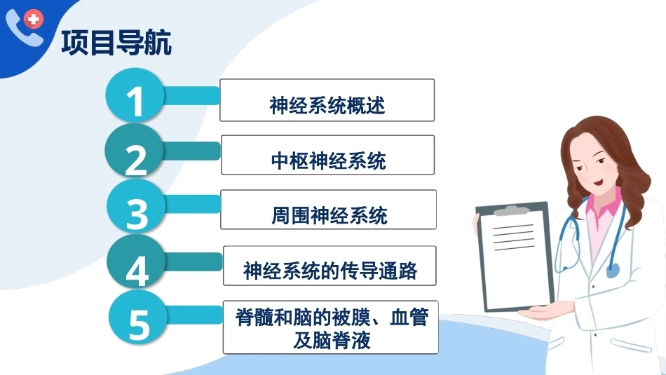 解剖学基础：神经系统PPT教学课件.pptx_第3页