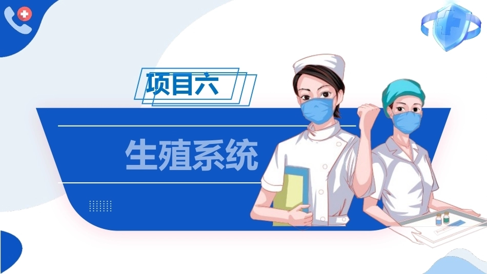 解剖学基础：生殖系统PPT教学课件.pptx_第1页