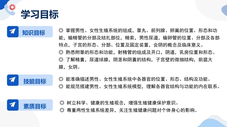 解剖学基础：生殖系统PPT教学课件.pptx_第2页