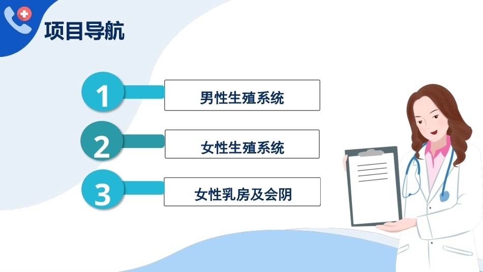 解剖学基础：生殖系统PPT教学课件.pptx_第3页