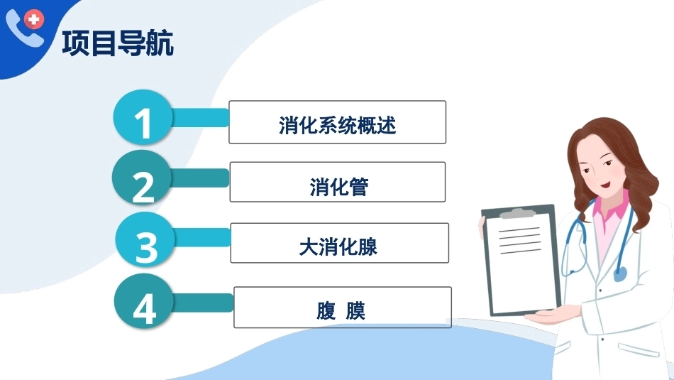 解剖学基础：消化系统PPT教学课件.pptx_第3页