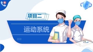 解剖学基础：运动系统PPT教学课件.pptx