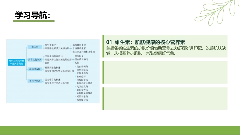 实用美容药物：常用天然与生物来源美容药物PPT教学课件.pptx_第2页