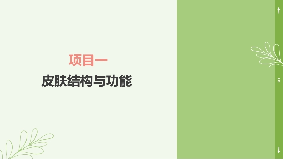 实用美容药物：皮肤结构与功能PPT教学课件.pptx_第1页