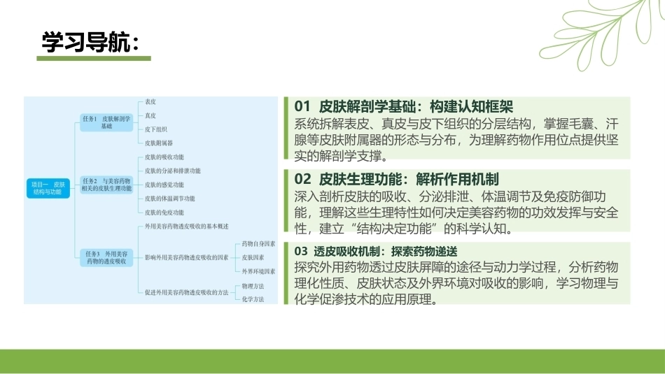 实用美容药物：皮肤结构与功能PPT教学课件.pptx_第2页