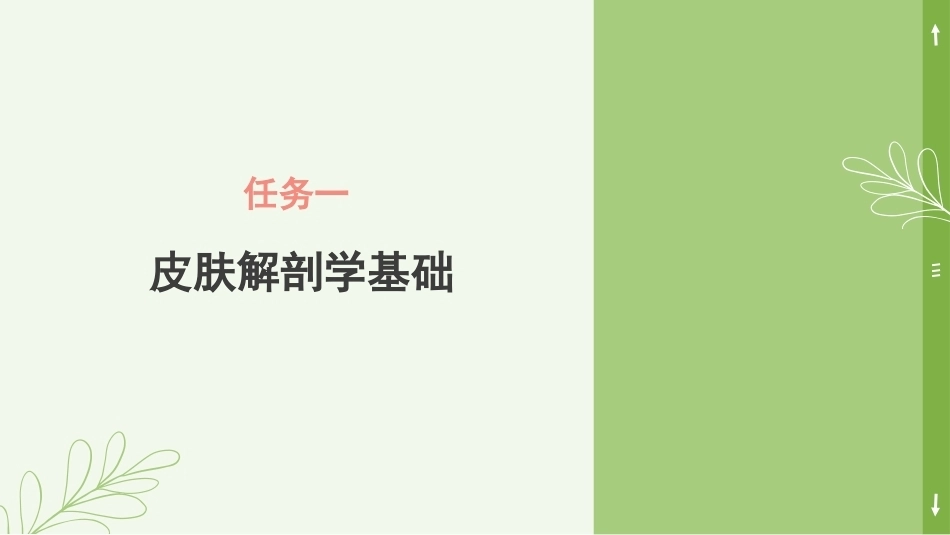 实用美容药物：皮肤结构与功能PPT教学课件.pptx_第3页