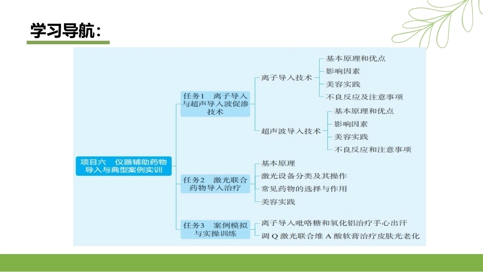实用美容药物：仪器辅助药物导入与典型案例实训PPT教学课件.pptx_第2页
