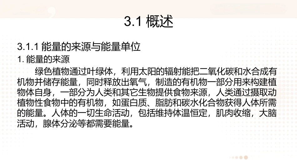 食品营养学：能量PPT教学课件.pptx_第2页