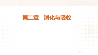食品营养学：消化与吸收PPT教学课件.pptx