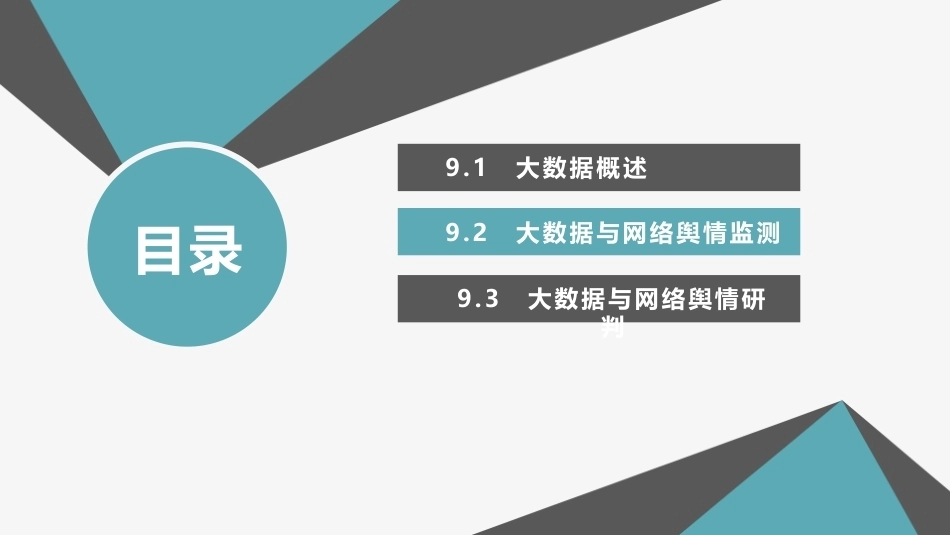 网络舆情概论（微课版）：大数据与网络舆情PPT教学课件.pptx_第2页