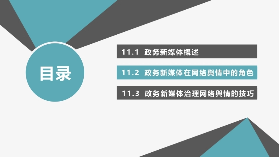 网络舆情概论（微课版）：政务新媒体与网络舆情PPT教学课件.pptx_第2页