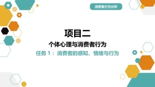 消费者行为分析：个体心理与消费者行为PPT教学课件.pptx