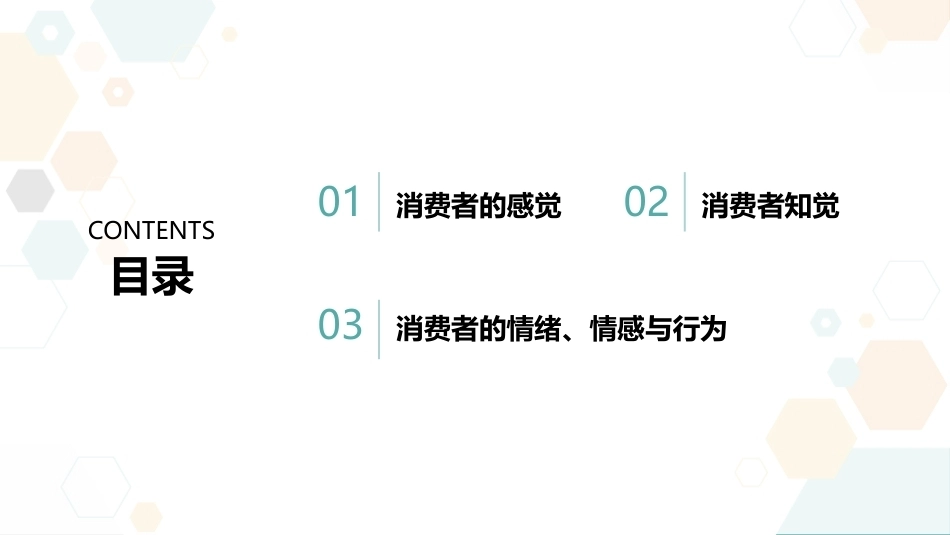 消费者行为分析：个体心理与消费者行为PPT教学课件.pptx_第2页