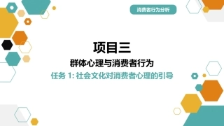 消费者行为分析：群体心理与消费者行为PPT教学课件.pptx