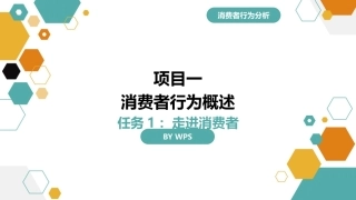 消费者行为分析：消费者行为概述PPT教学课件.pptx