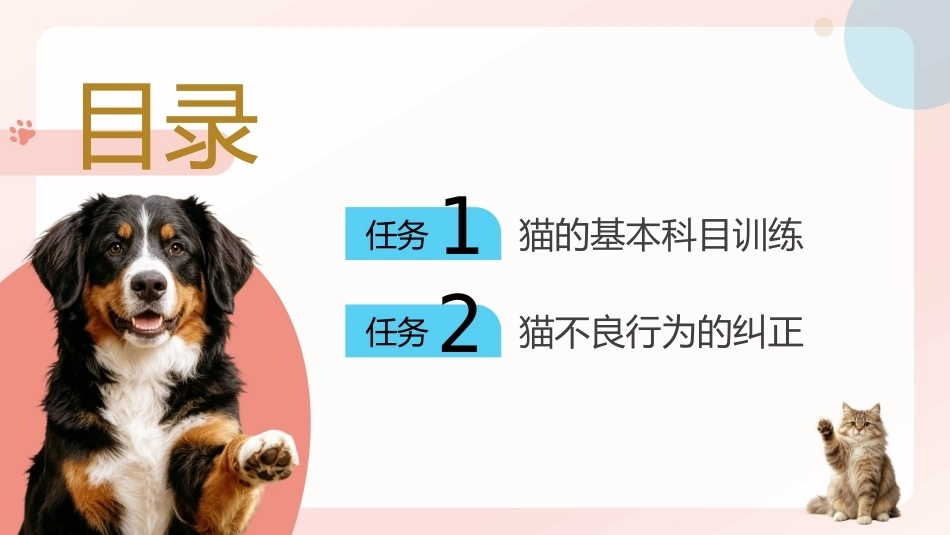 宠物行为与驯导：宠物猫的训练与调教PPT教学课件.pptx_第2页