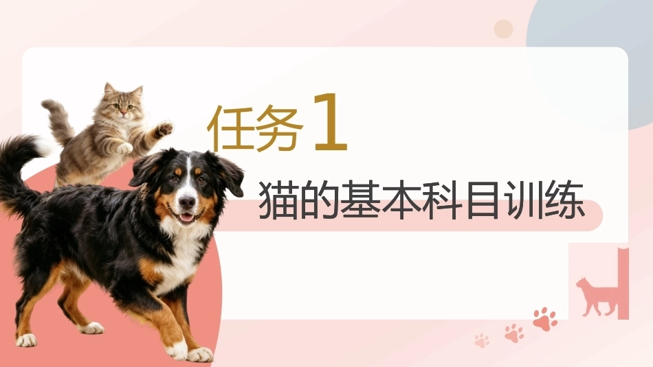 宠物行为与驯导：宠物猫的训练与调教PPT教学课件.pptx_第3页