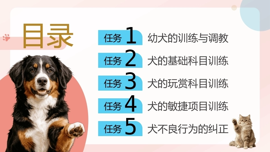 宠物行为与驯导：宠物犬的训练与调教PPT教学课件.pptx_第2页