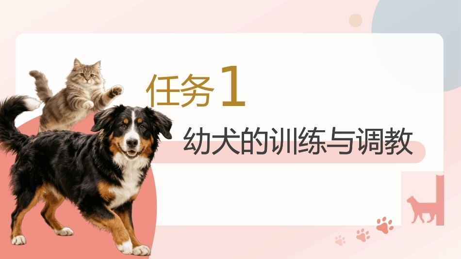 宠物行为与驯导：宠物犬的训练与调教PPT教学课件.pptx_第3页