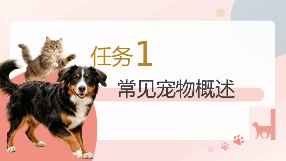 宠物行为与驯导：宠物认知与科学饲养PPT教学课件.pptx_第3页