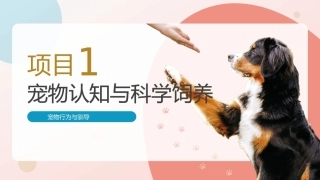 宠物行为与驯导：宠物认知与科学饲养PPT教学课件.pptx