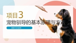 宠物行为与驯导：宠物驯导的基本原理与方法PPT教学课件.pptx