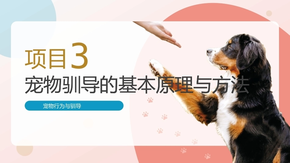 宠物行为与驯导：宠物驯导的基本原理与方法PPT教学课件.pptx_第1页