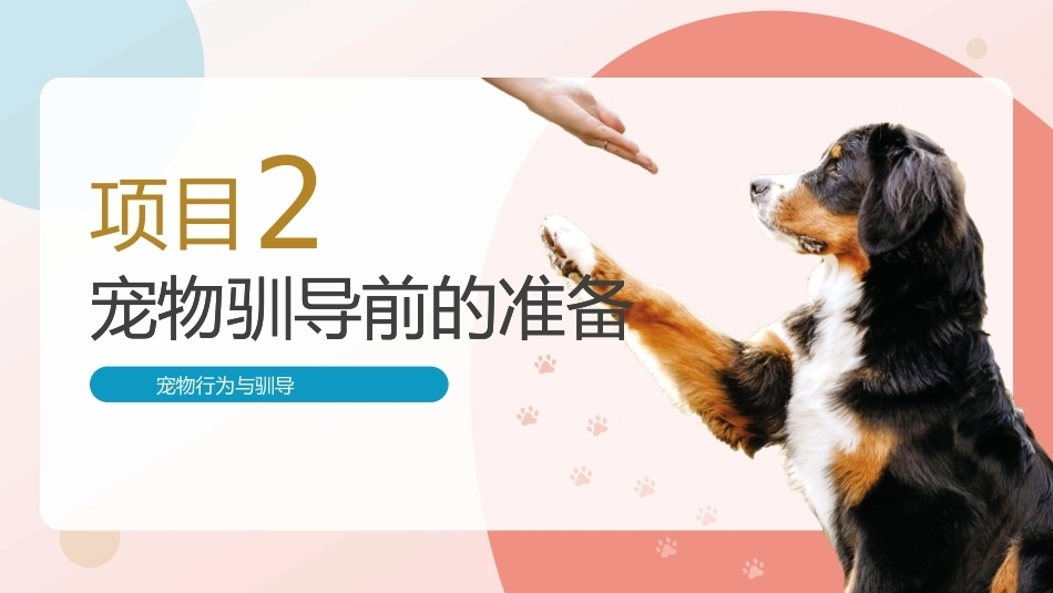 宠物行为与驯导：宠物驯导前的准备PPT教学课件.pptx_第1页
