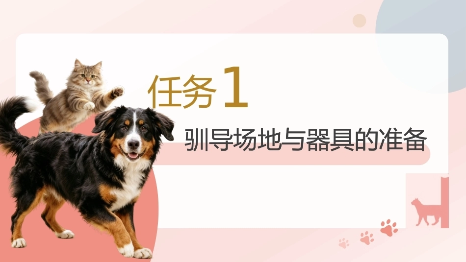 宠物行为与驯导：宠物驯导前的准备PPT教学课件.pptx_第3页