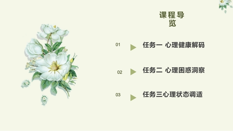 大学生心理健康教育：心理健康认知坊：心理健康解码+心理困惑洞察+心理状态调适PPT教学课件.pptx_第2页