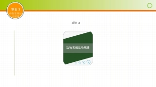 动画运动规律（第四版）：动物常规运动规律PPT教学课件.pptx