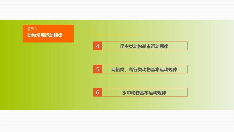 动画运动规律（第四版）：动物常规运动规律PPT教学课件.pptx_第3页