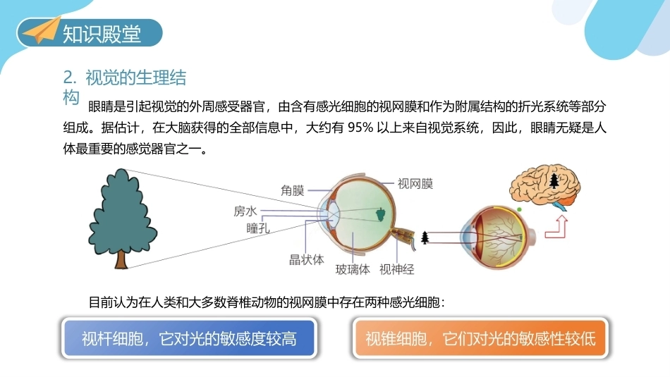 儿童感觉统合训练：儿童五大感觉系统PPT教学课件.pptx_第3页