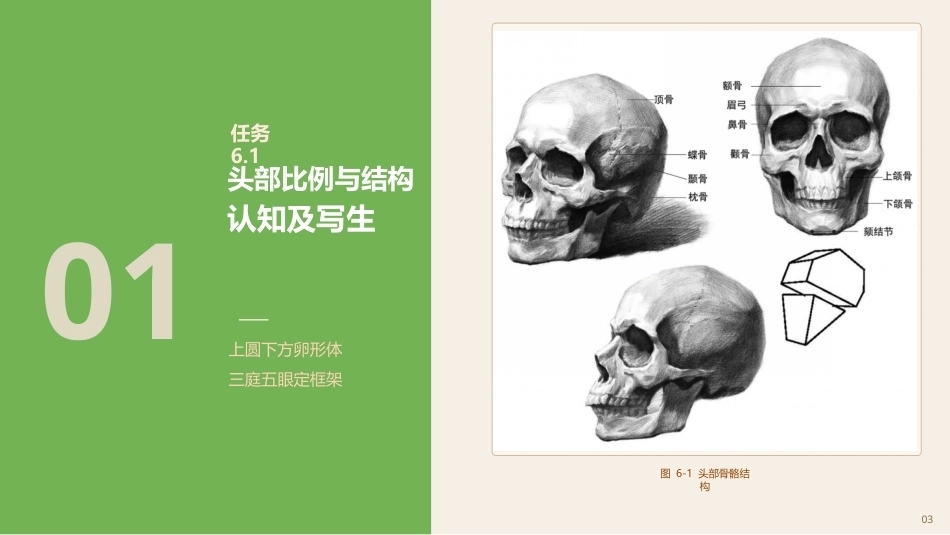 素描（第3版中职）：人物头像素描PPT教学课件.pptx_第3页