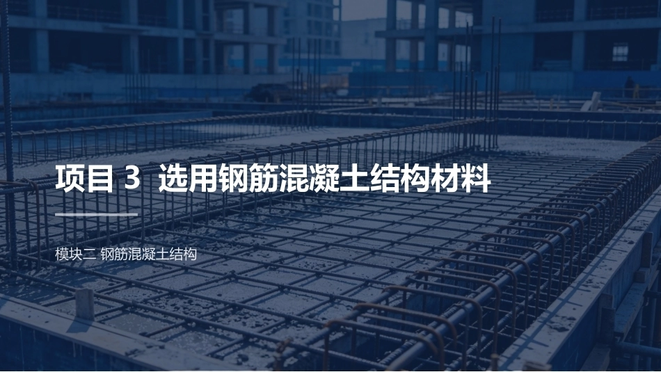建筑结构：选用钢筋混凝土结构材料PPT教学课件.pptx_第2页