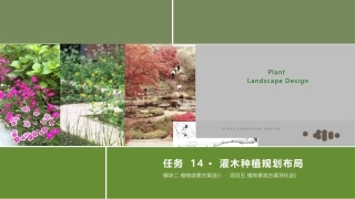 景观植物造景：灌木种植规划布局PPT教学课件.pptx