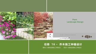 景观植物造景：乔木施工种植设计PPT教学课件.pptx