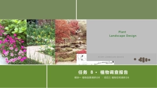 景观植物造景：植物调查报告PPT教学课件.pptx