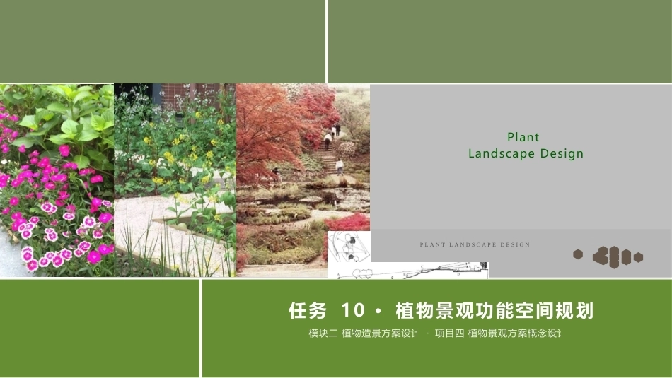 景观植物造景：植物景观功能空间规划PPT教学课件.pptx_第1页