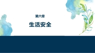 大学生安全教育：生活安全PPT教学课件.pptx