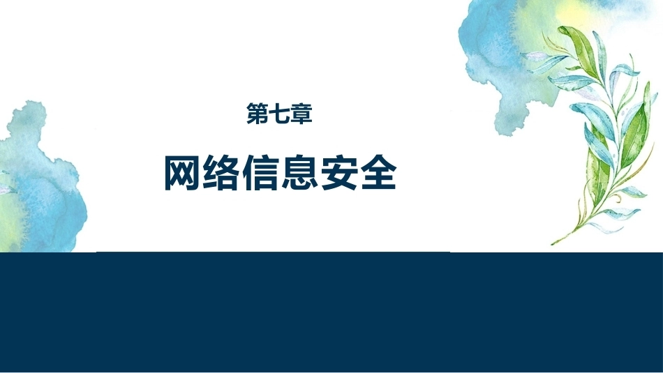大学生安全教育：网络信息安全PPT教学课件.pptx_第1页