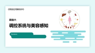 美容应用解剖（第2版）：调控系统与美容感知PPT教学课件.pptx