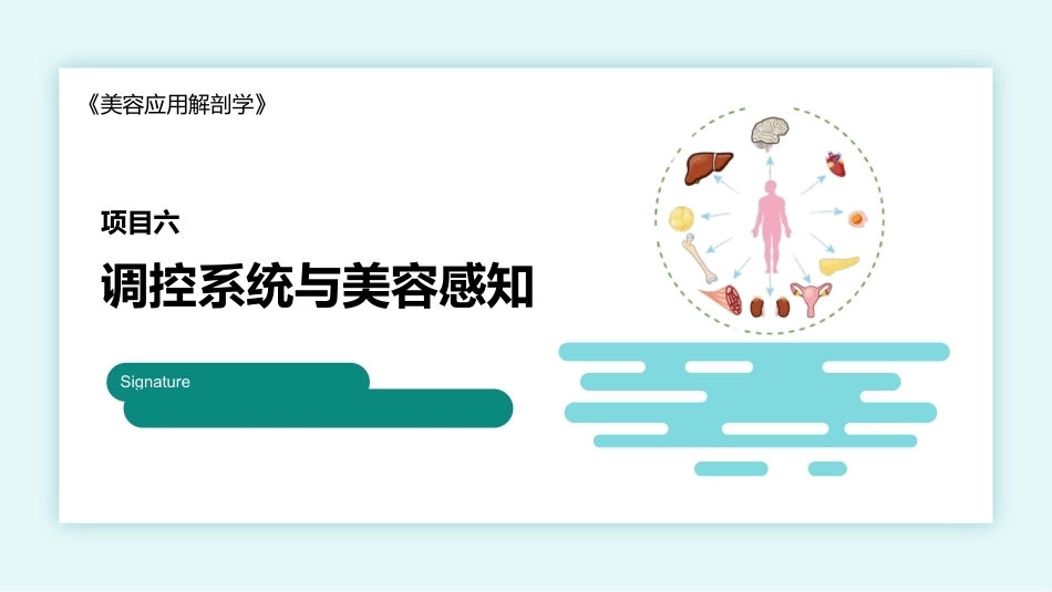 美容应用解剖（第2版）：调控系统与美容感知PPT教学课件.pptx_第1页